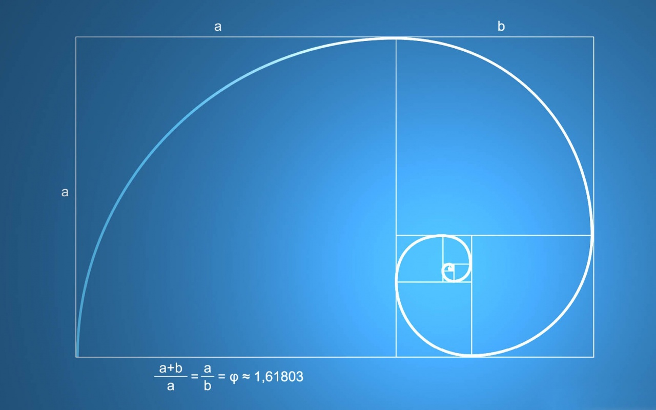 Snail Shell Spiral