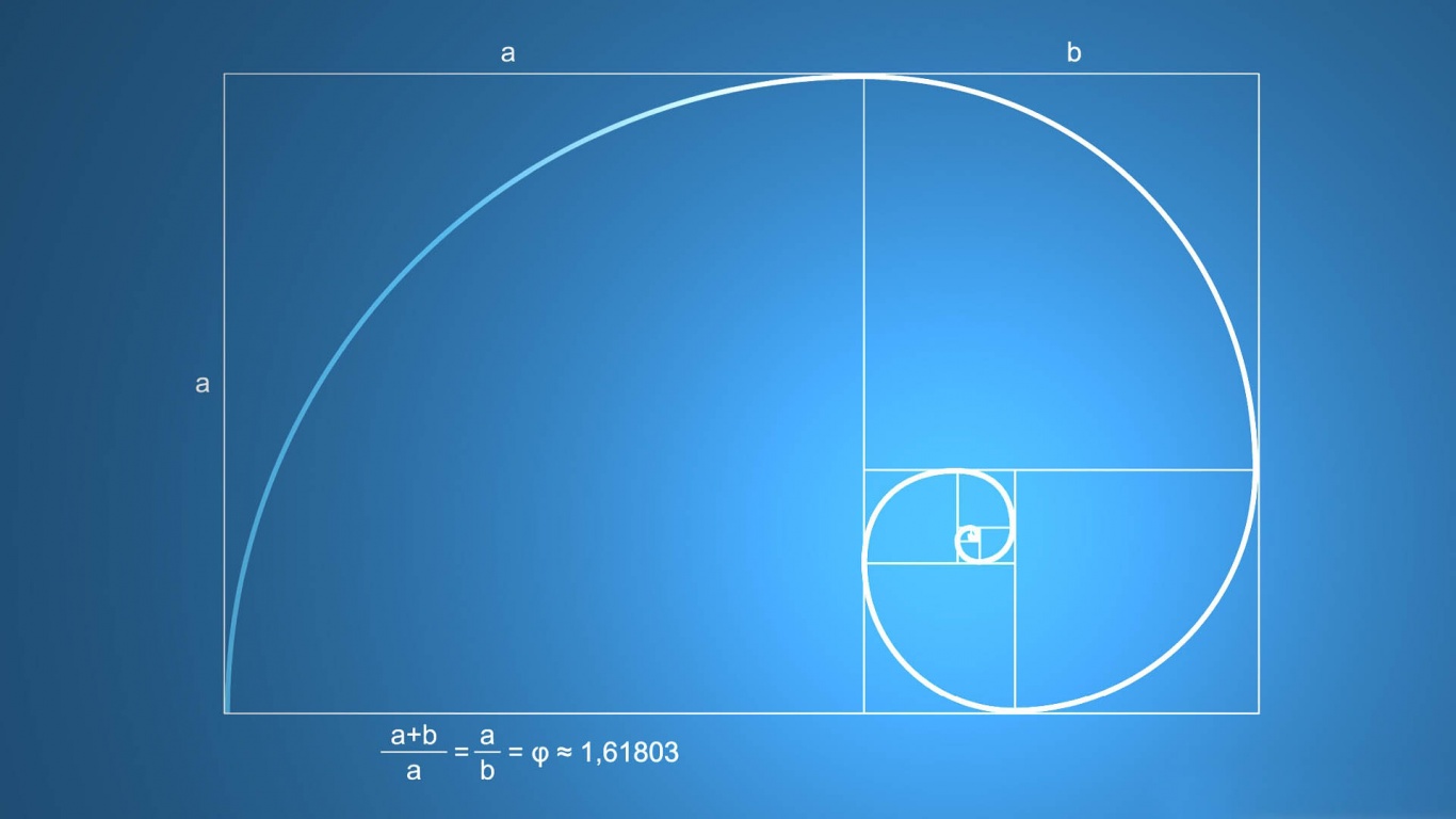 Snail Shell Spiral