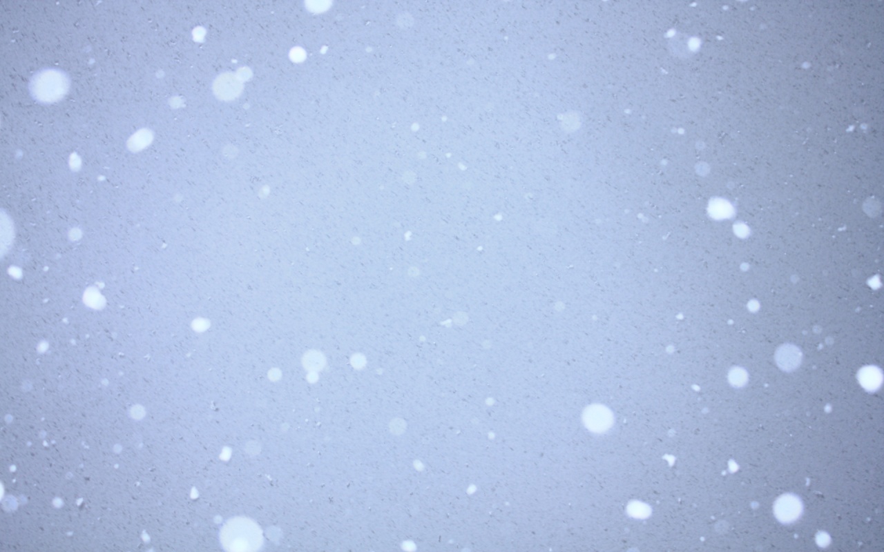 Snow Falling On Blue Sky