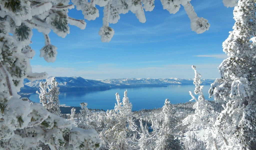 Snow Sky Winter