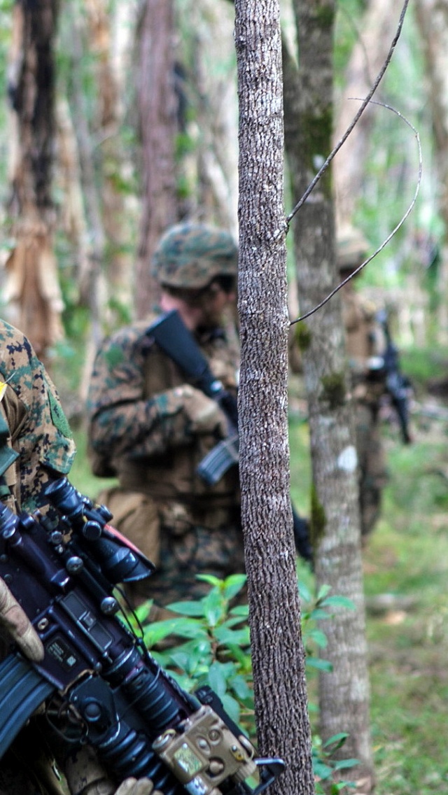 Soldiers In Patrol