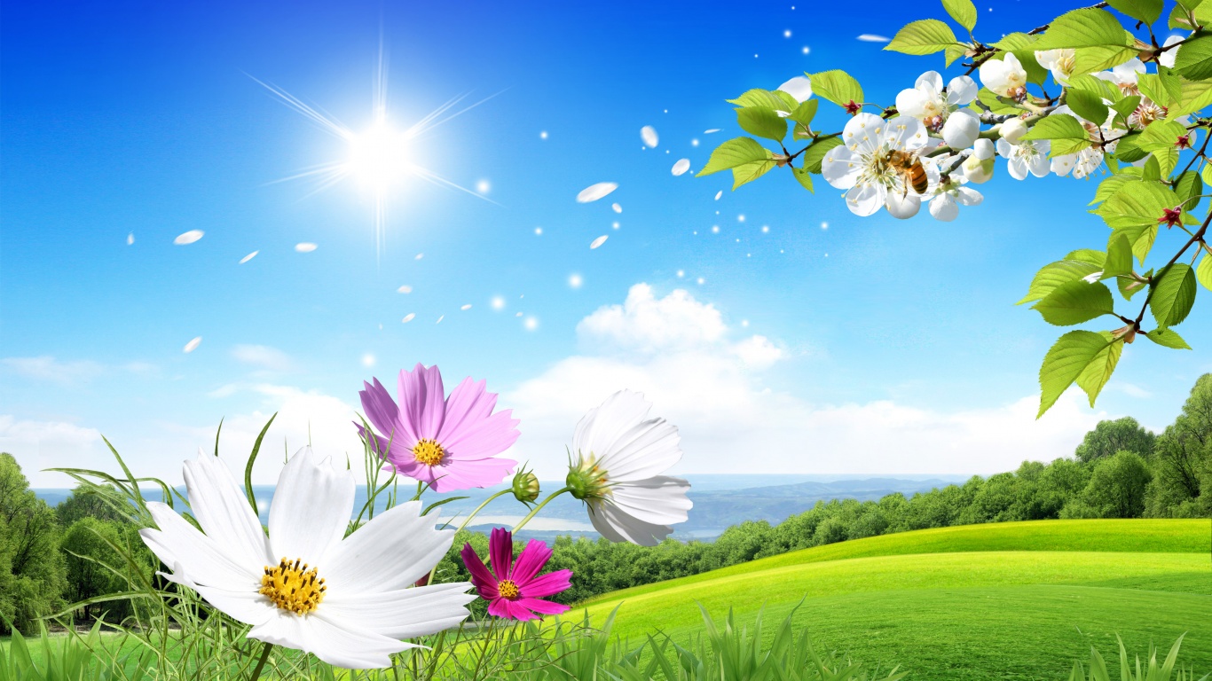 Spring Scene Background