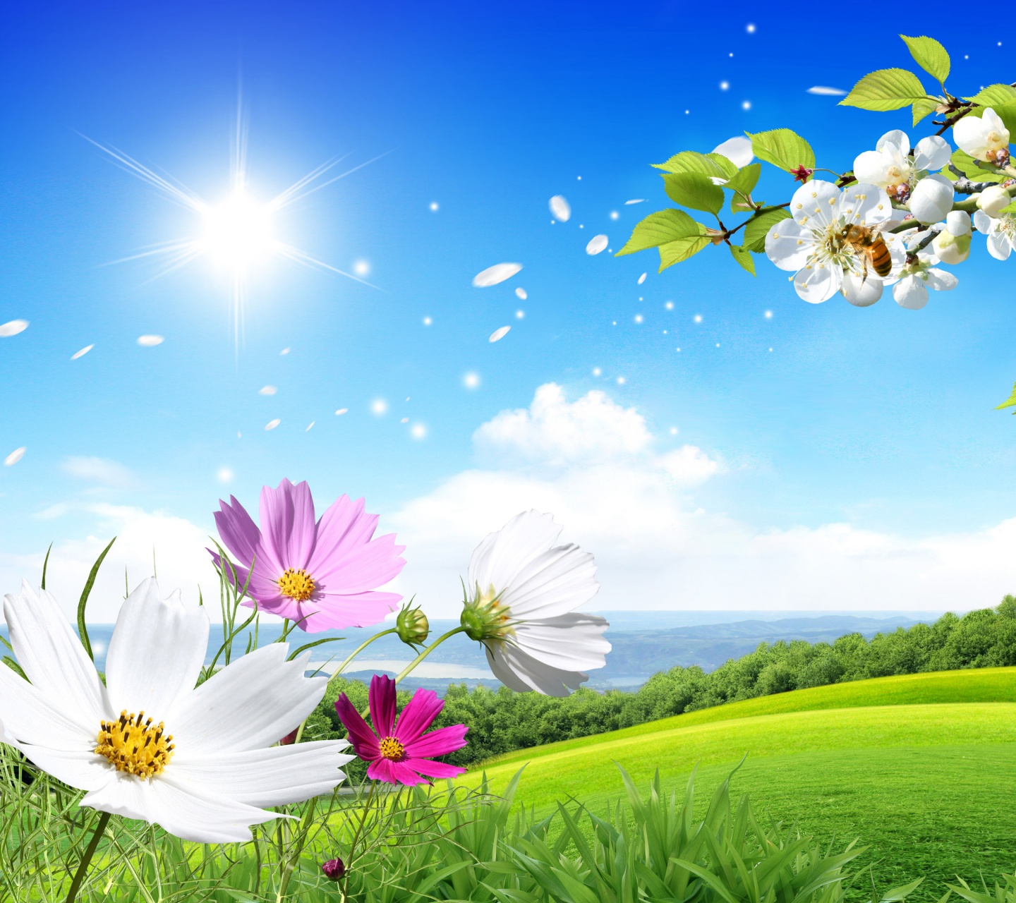 Spring Scene Background