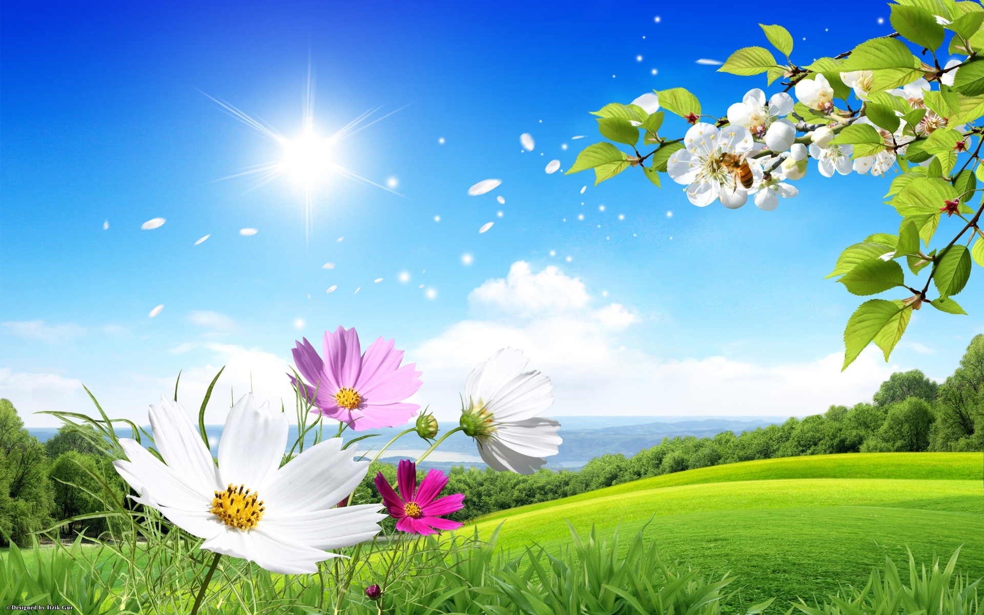 Spring Scene Background