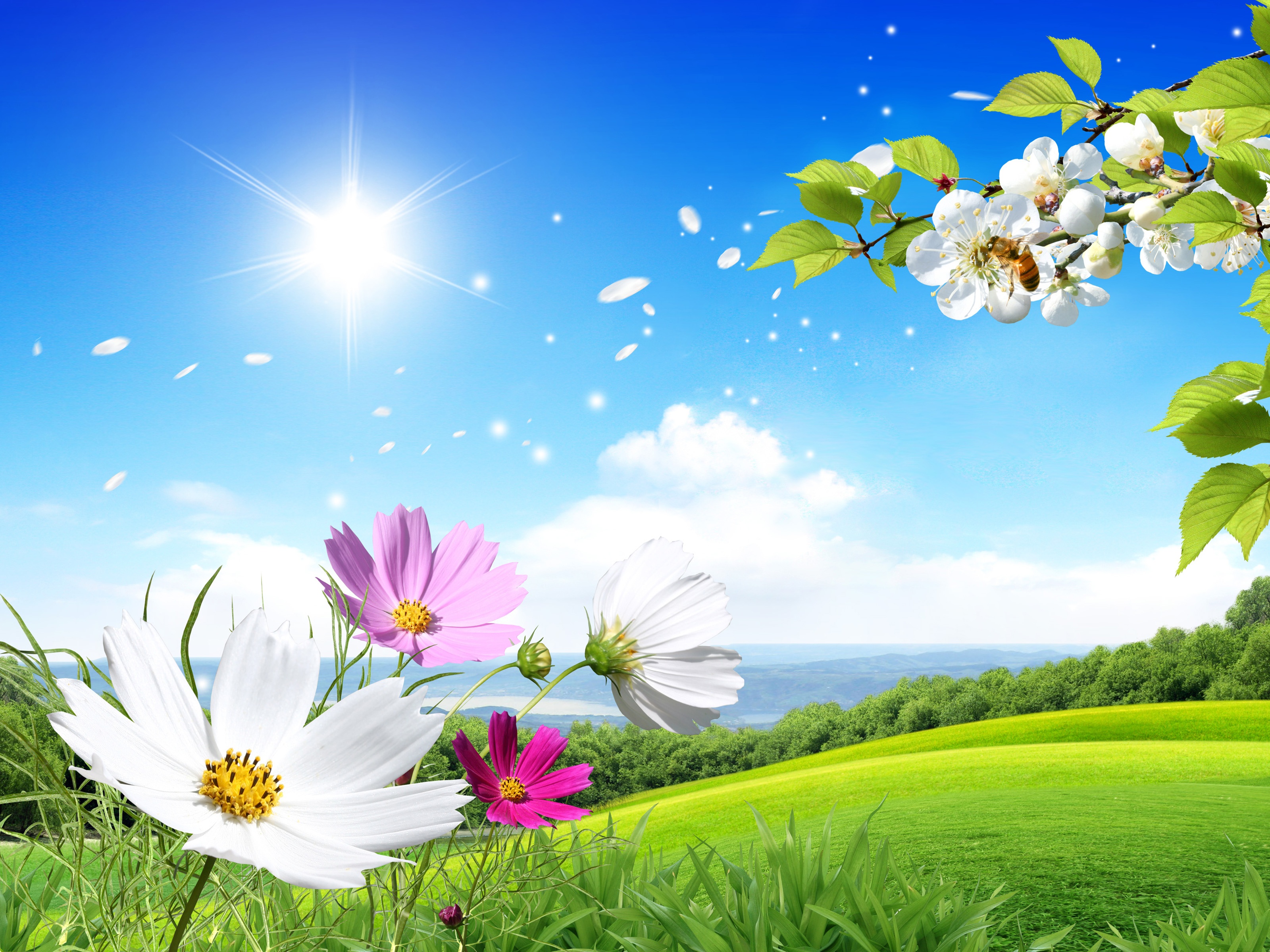 Spring Scene Background