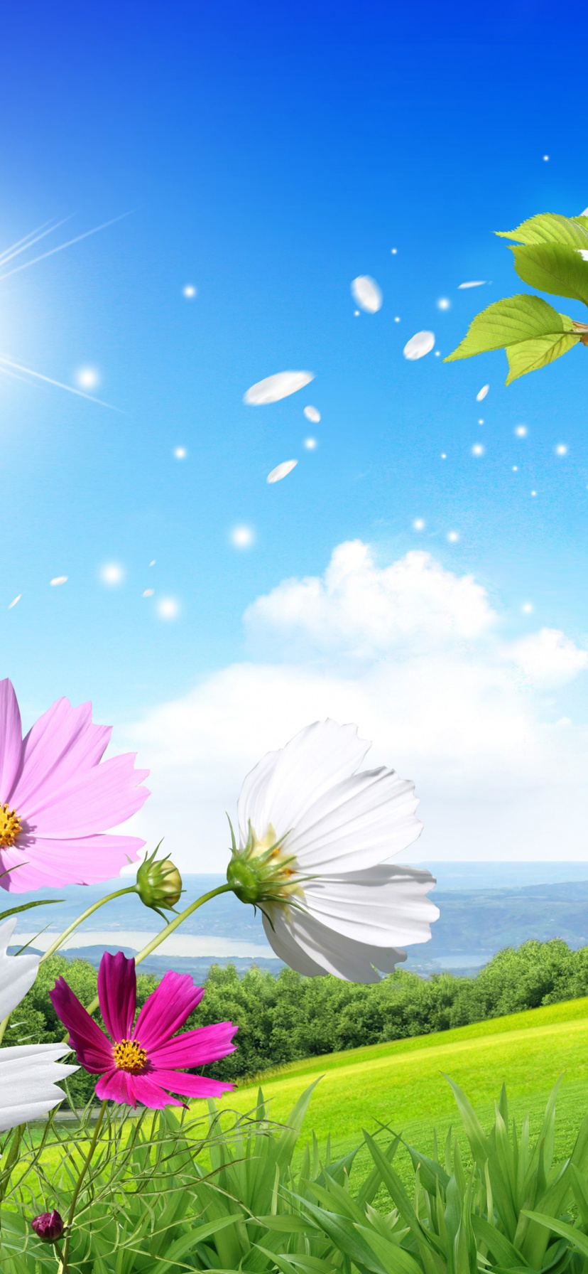 Spring Scene Background