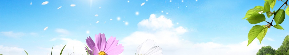 Spring Scene Background