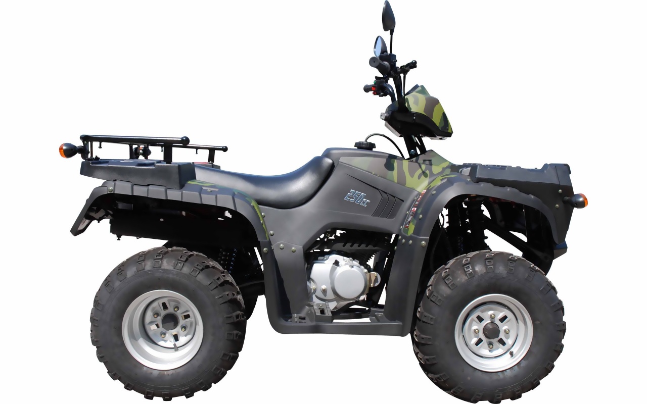 Sprintco Atv Sp250st 6