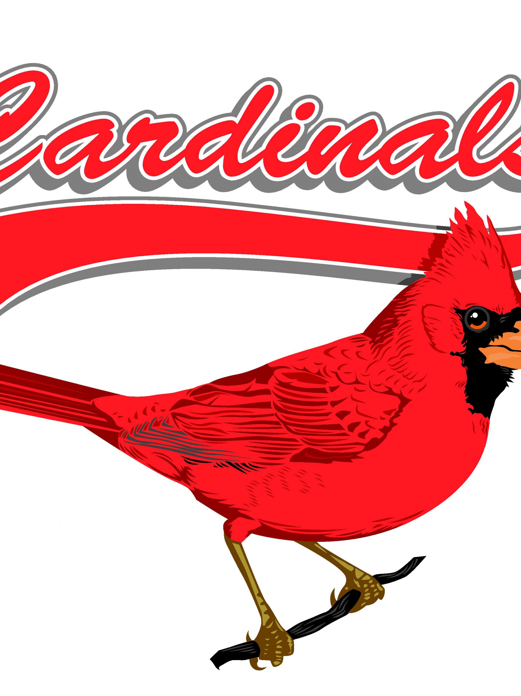 St. Louis Cardinals - Team Logo