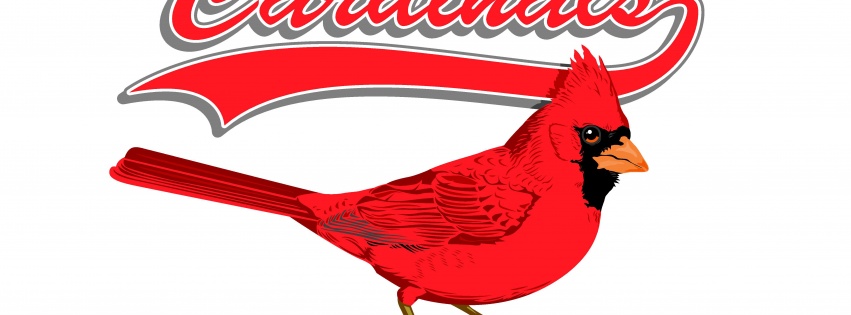 St. Louis Cardinals - Team Logo