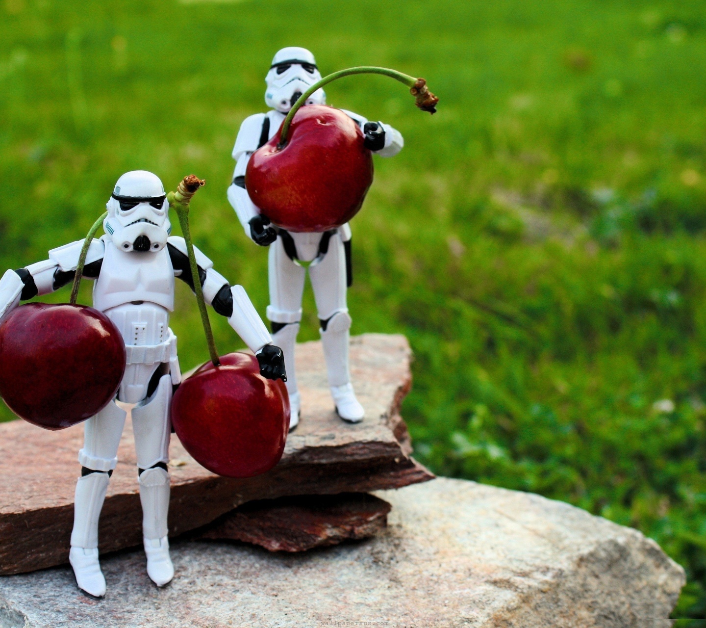 Stormtroopers Fruits Funny Toys Cherries