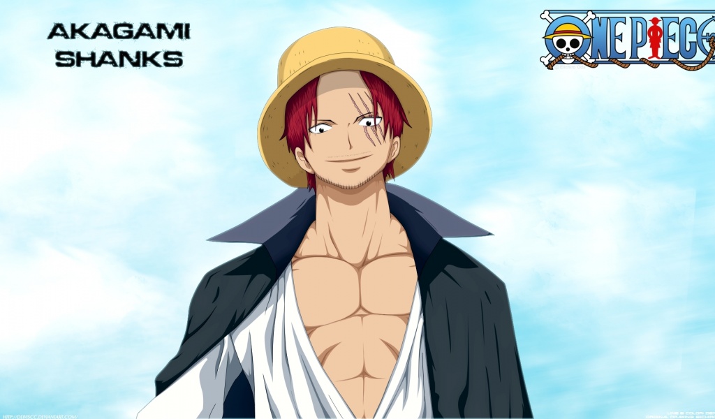 Straw Hat Pirates The One Piece Anime Pirate