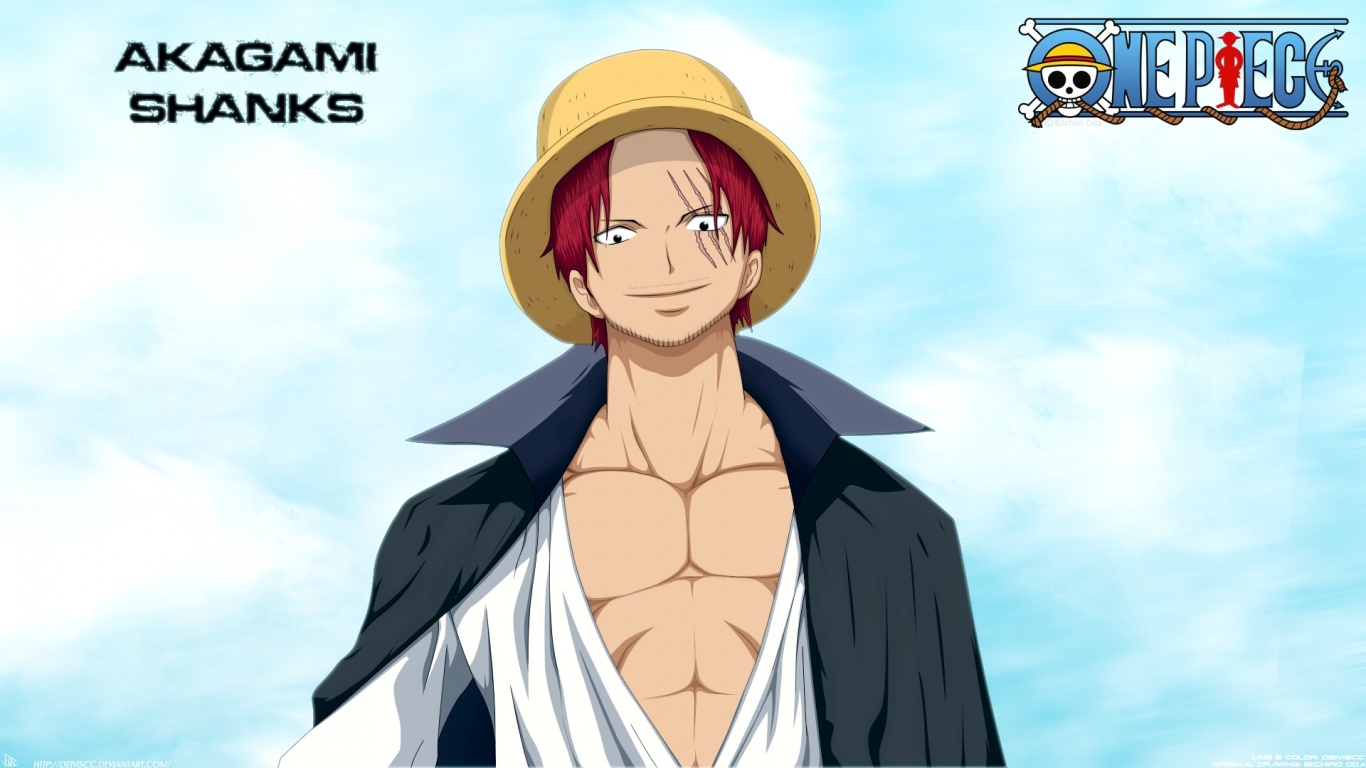 Straw Hat Pirates The One Piece Anime Pirate