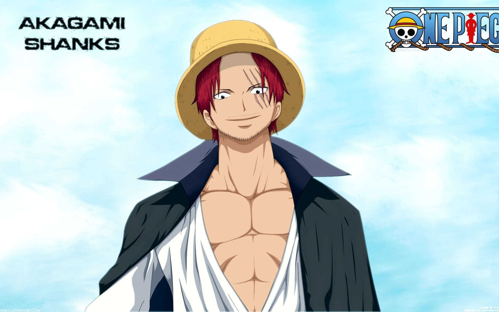 Straw Hat Pirates The One Piece Anime Pirate