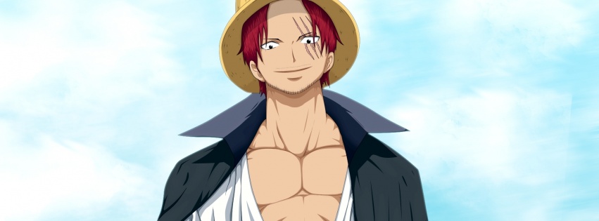 Straw Hat Pirates The One Piece Anime Pirate