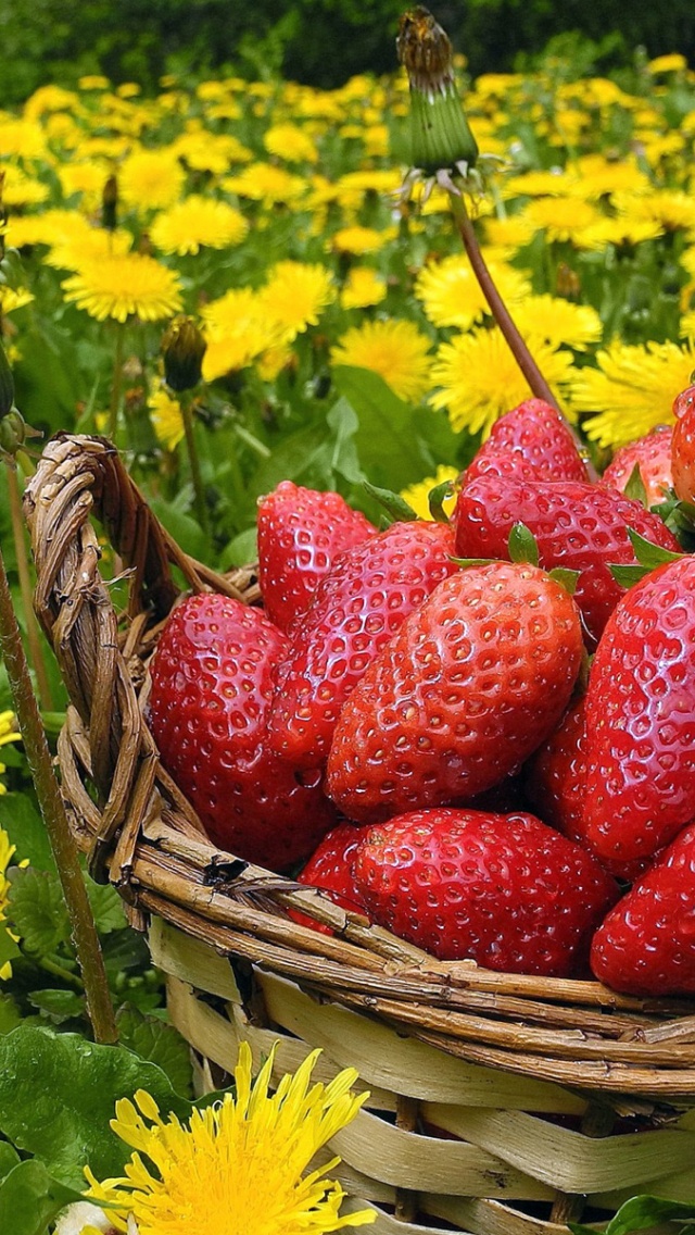 Strawberries In Basket And Dandelions