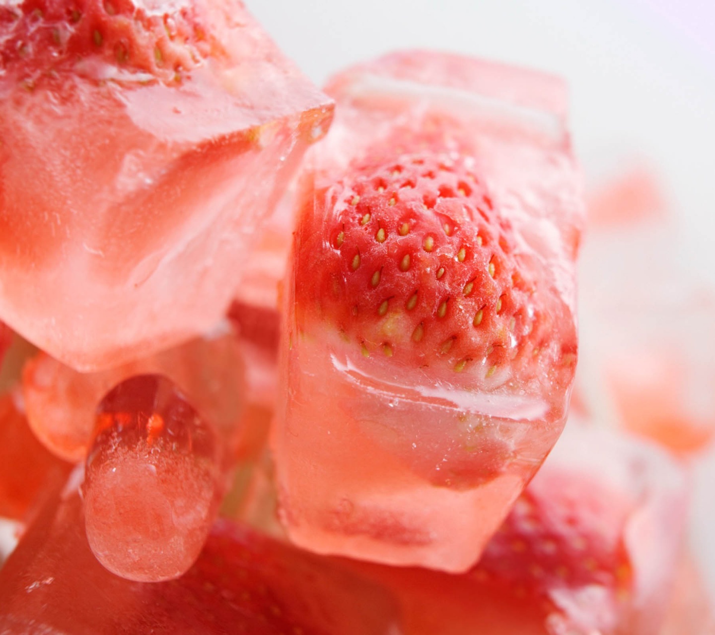 Strawberries On Ice Cubes