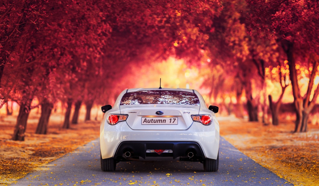 Subaru Car In Autumn