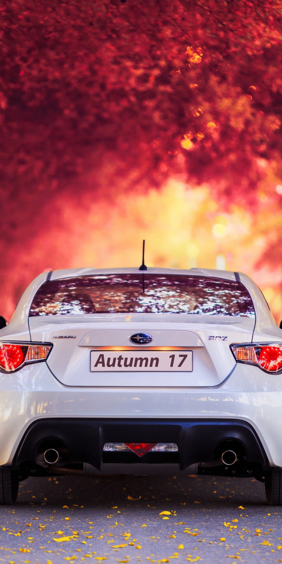 Subaru Car In Autumn