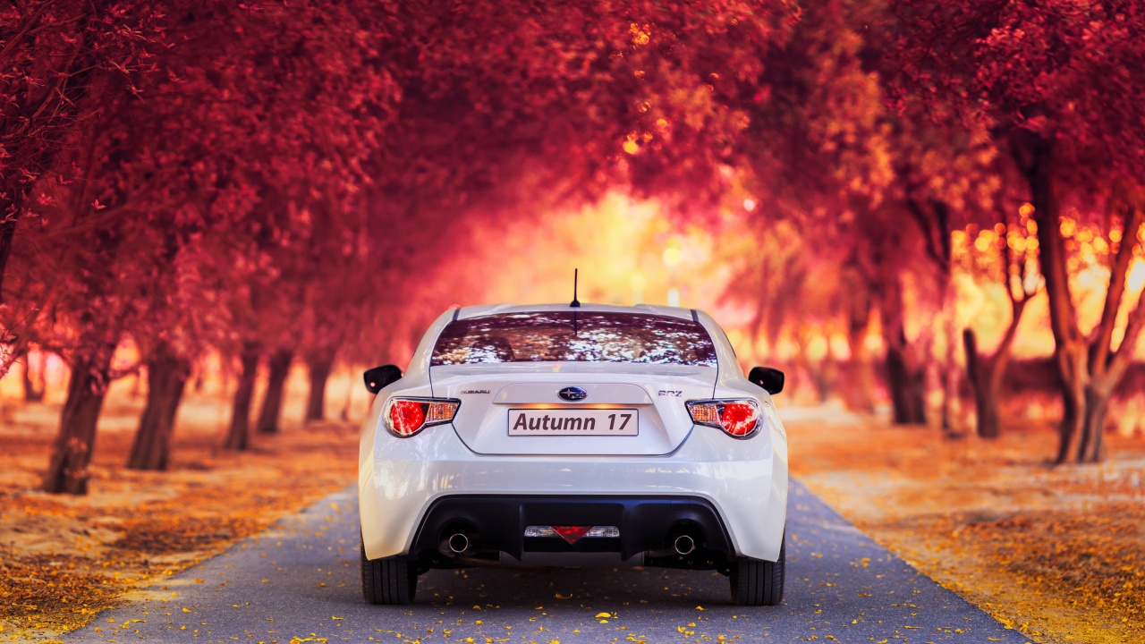 Subaru Car In Autumn