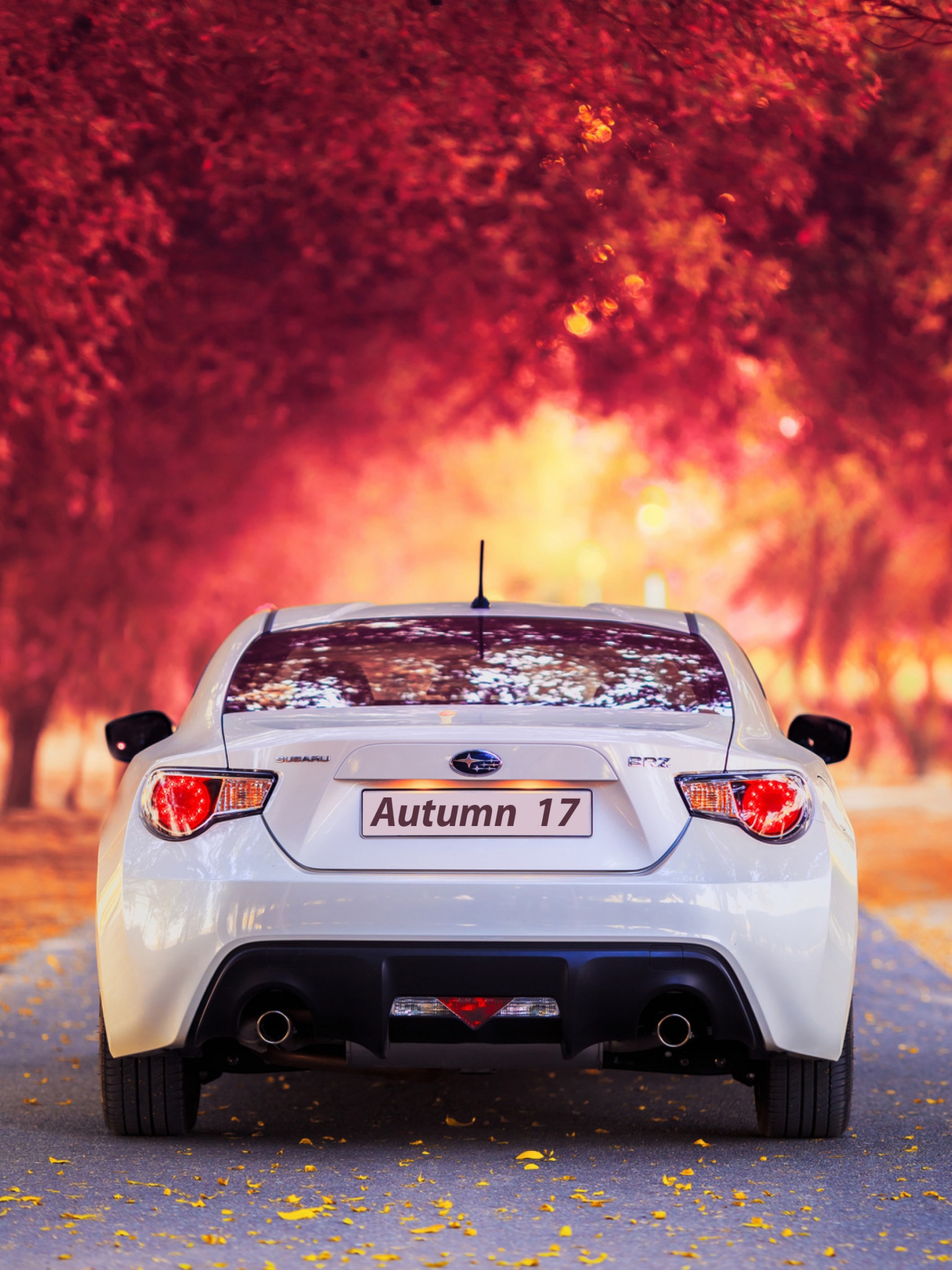 Subaru Car In Autumn