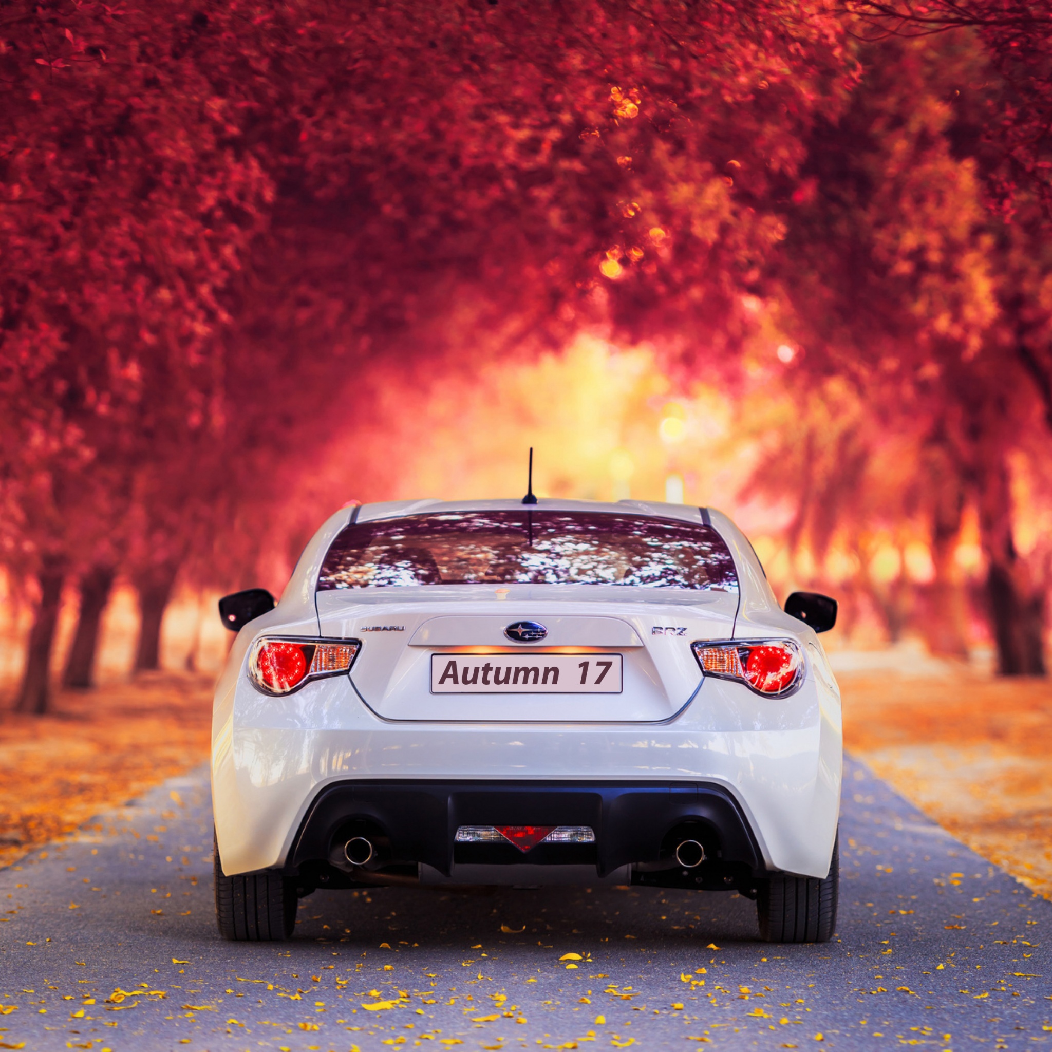 Subaru Car In Autumn