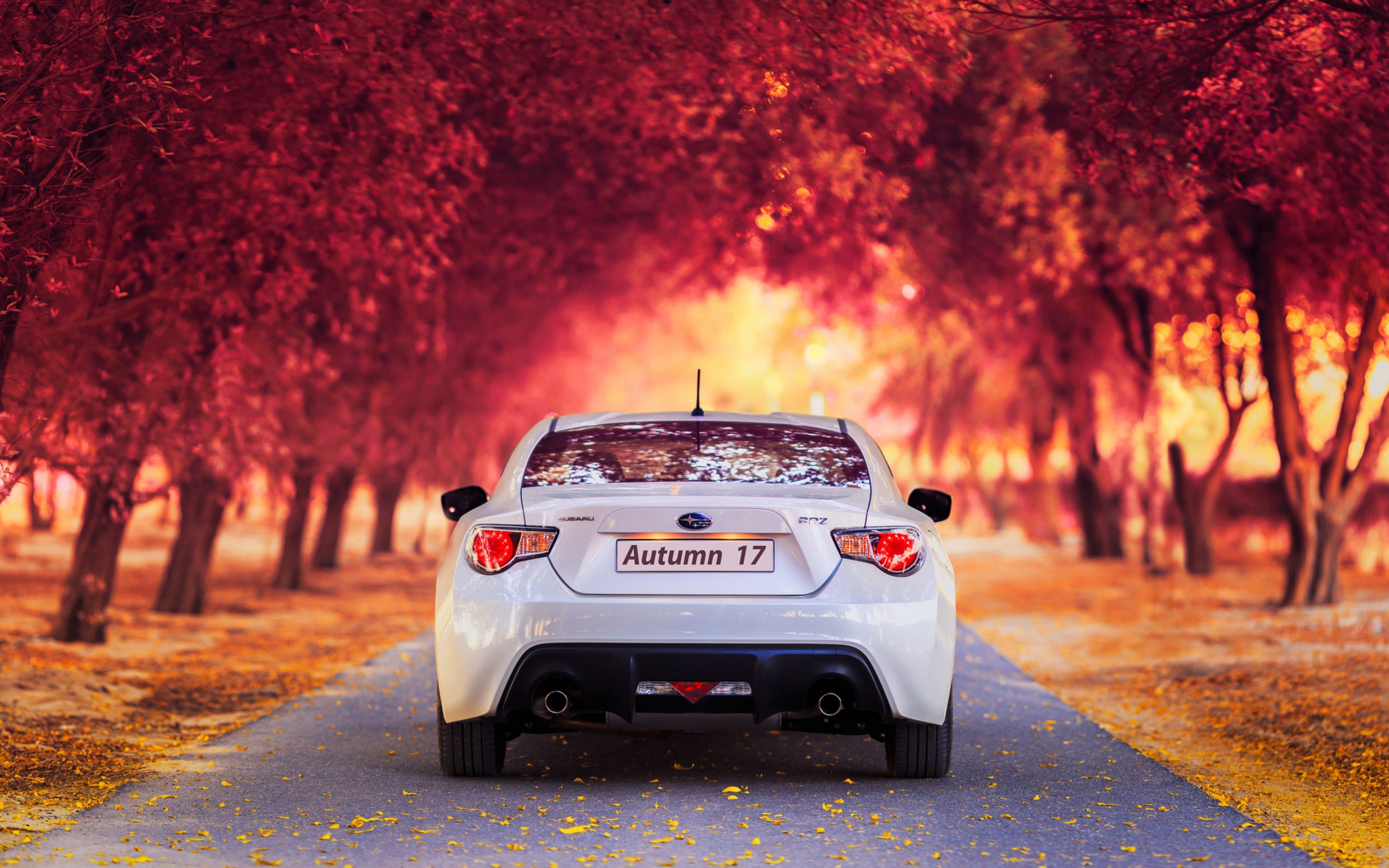 Subaru Car In Autumn