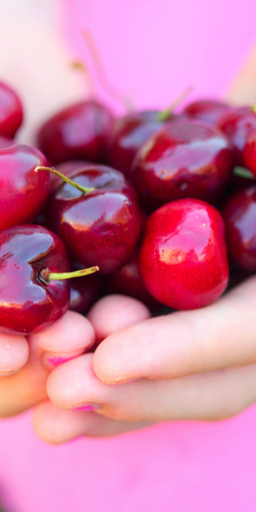 Summer Cherries