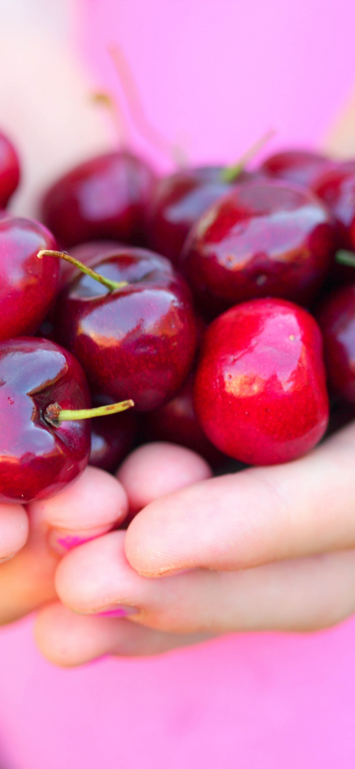 Summer Cherries