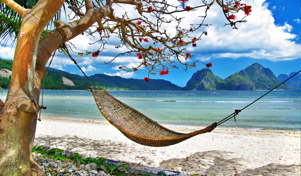 Summer Relaxation At The Beach