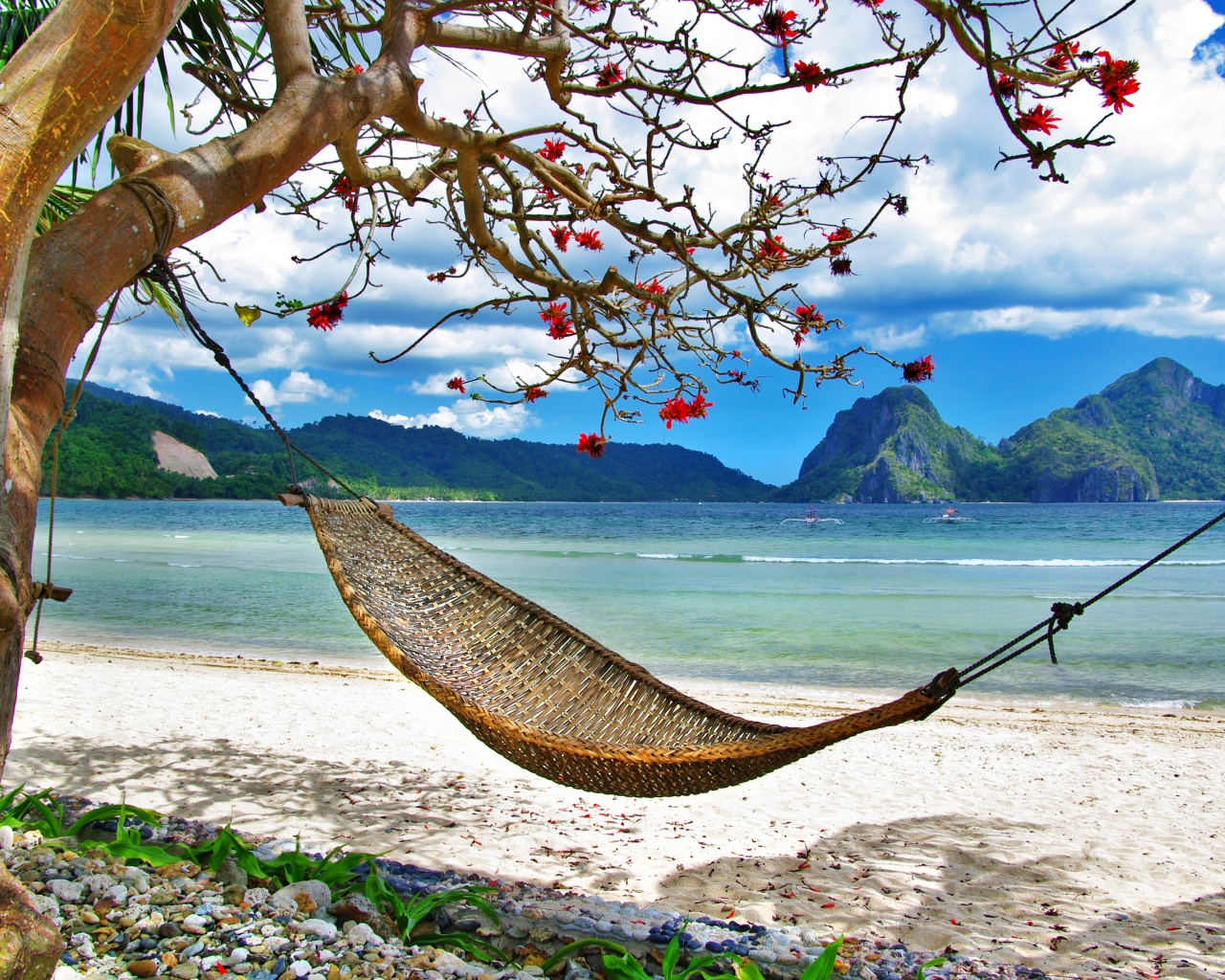 Summer Relaxation At The Beach