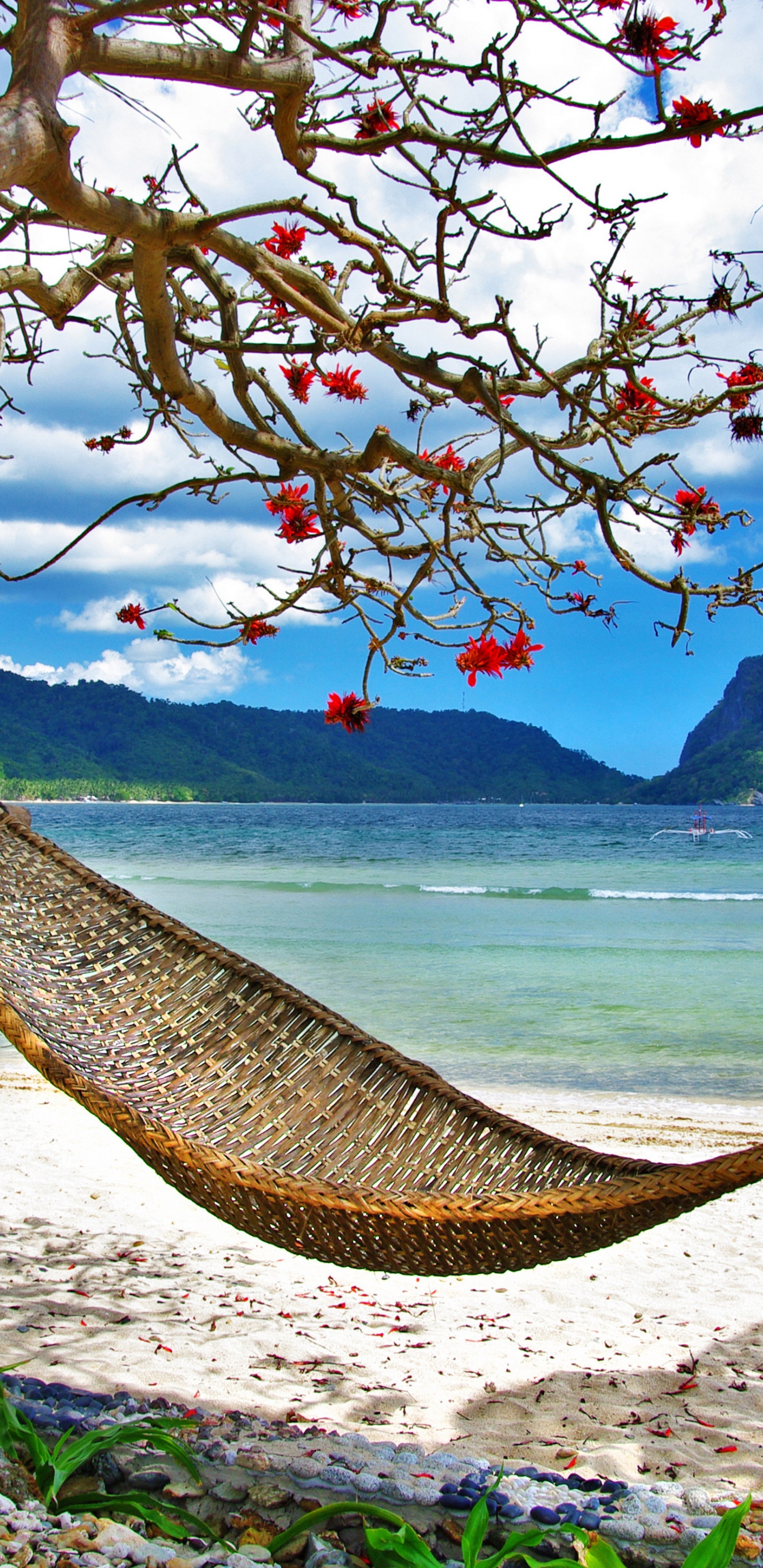 Summer Relaxation At The Beach