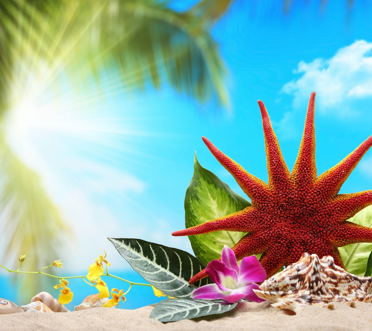 Summer Time Sun Sand Sea Beach