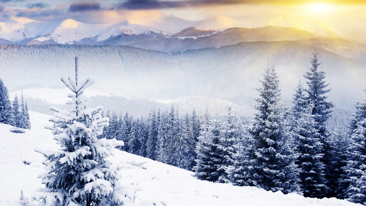 Sunlight Shines In Snowy Mountains