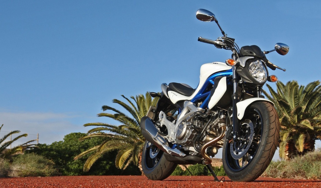 Suzuki Sfv650 Gladius