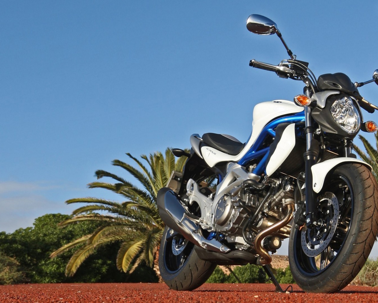 Suzuki Sfv650 Gladius