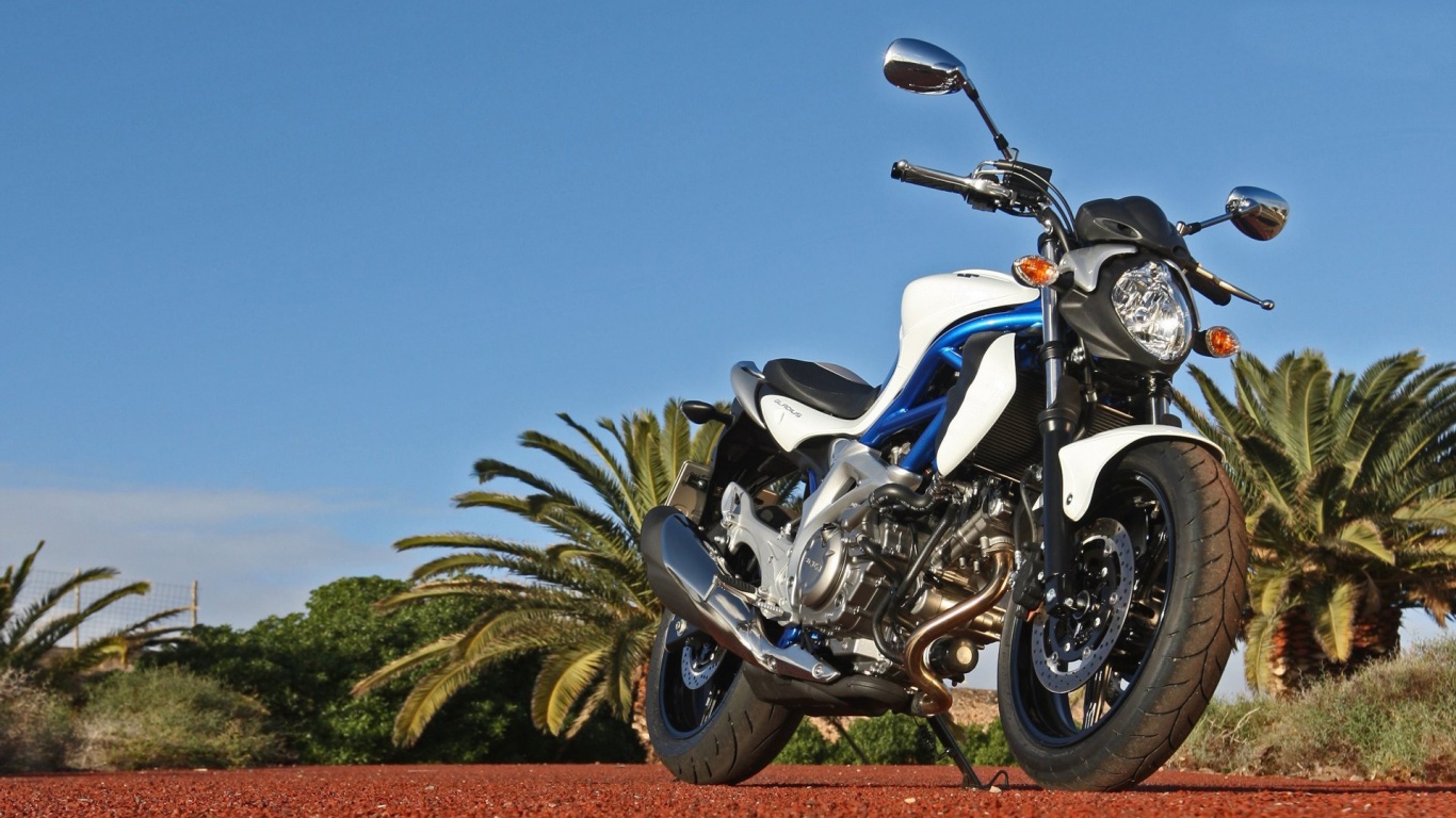 Suzuki Sfv650 Gladius