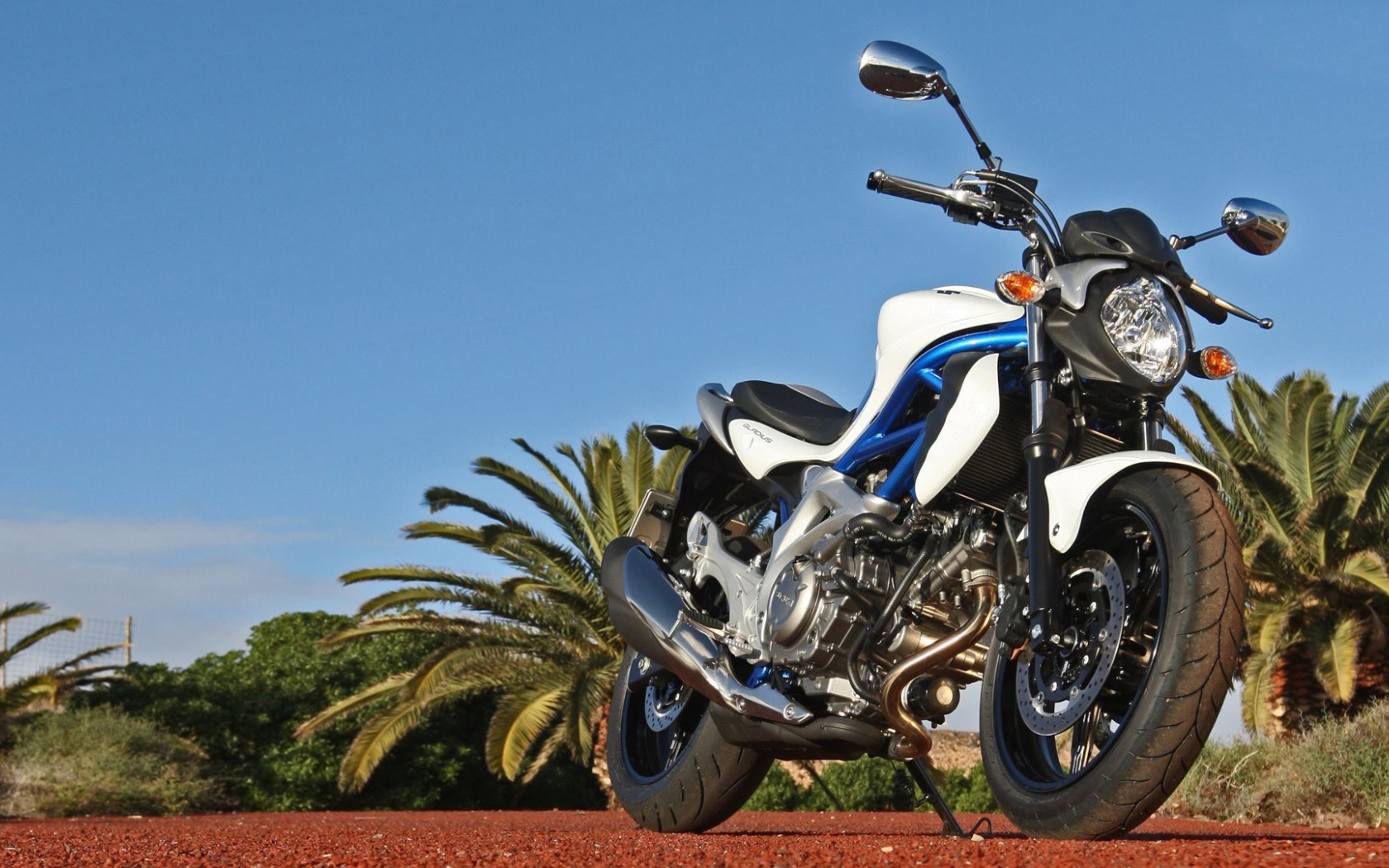 Suzuki Sfv650 Gladius