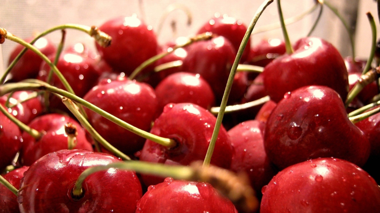 Sweet Cherries