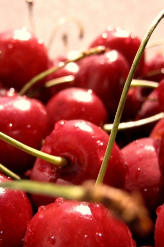 Sweet Cherries