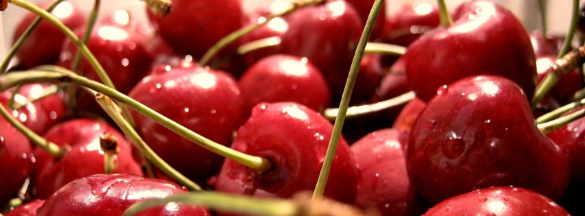 Sweet Cherries