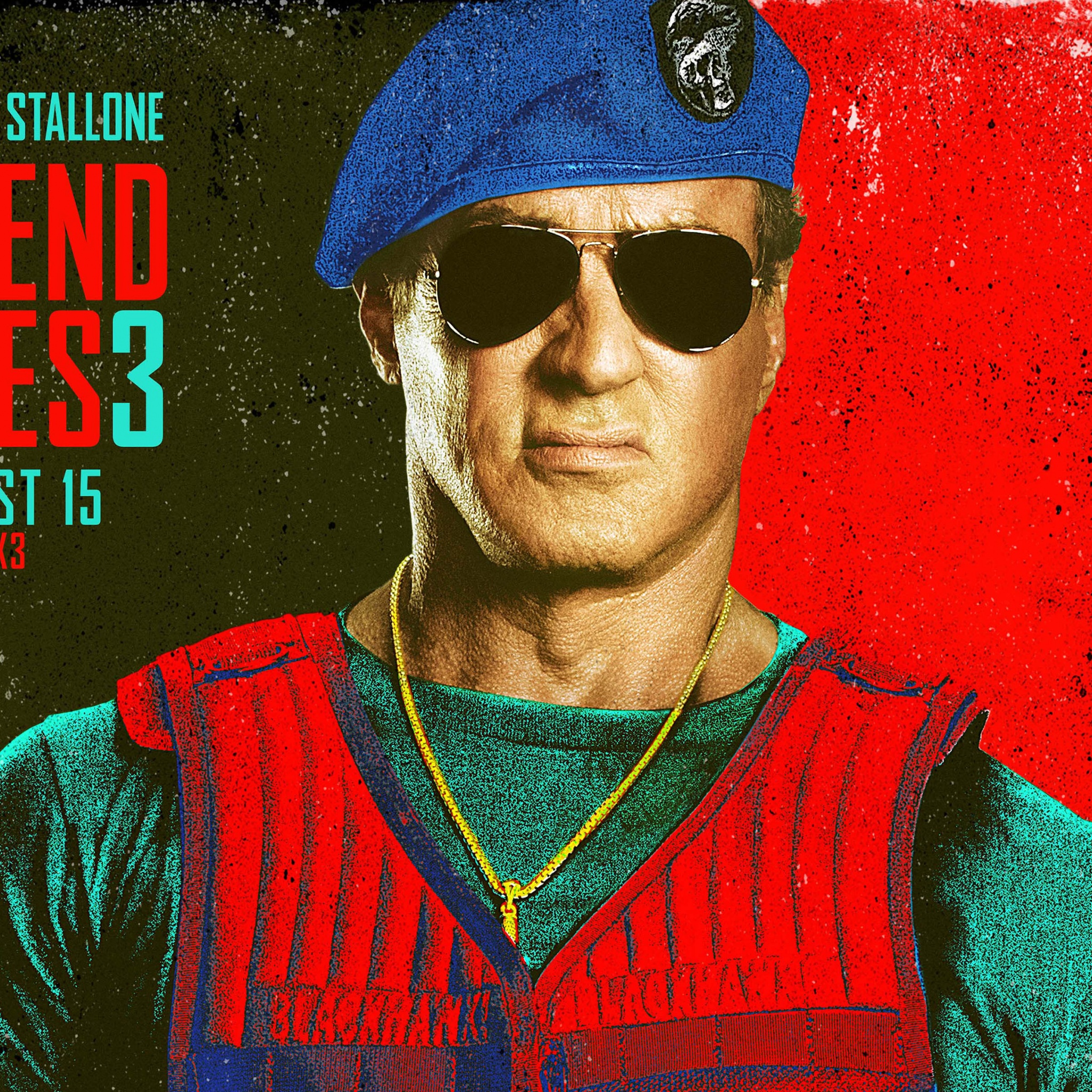 Sylvester Stallone In Expendables 3