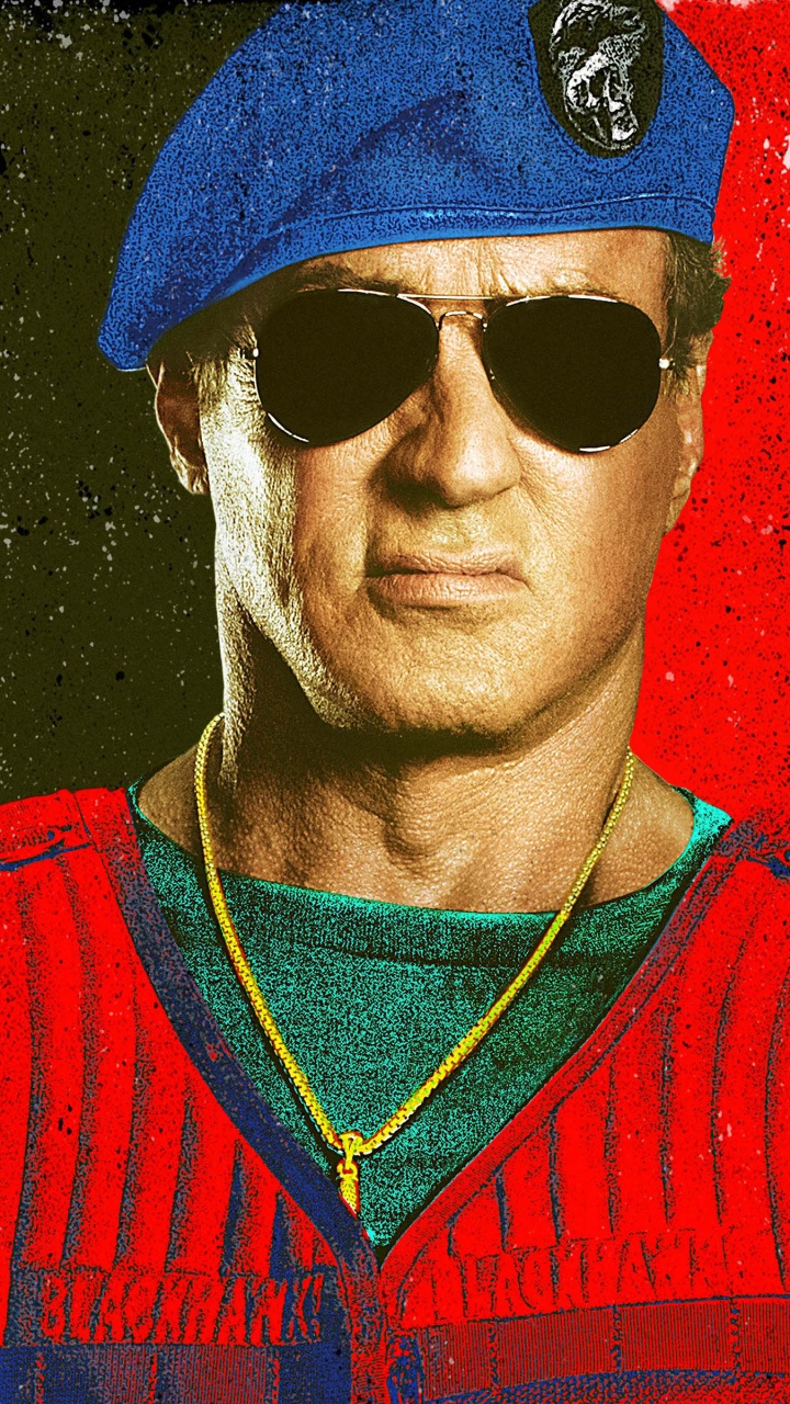 Sylvester Stallone In Expendables 3