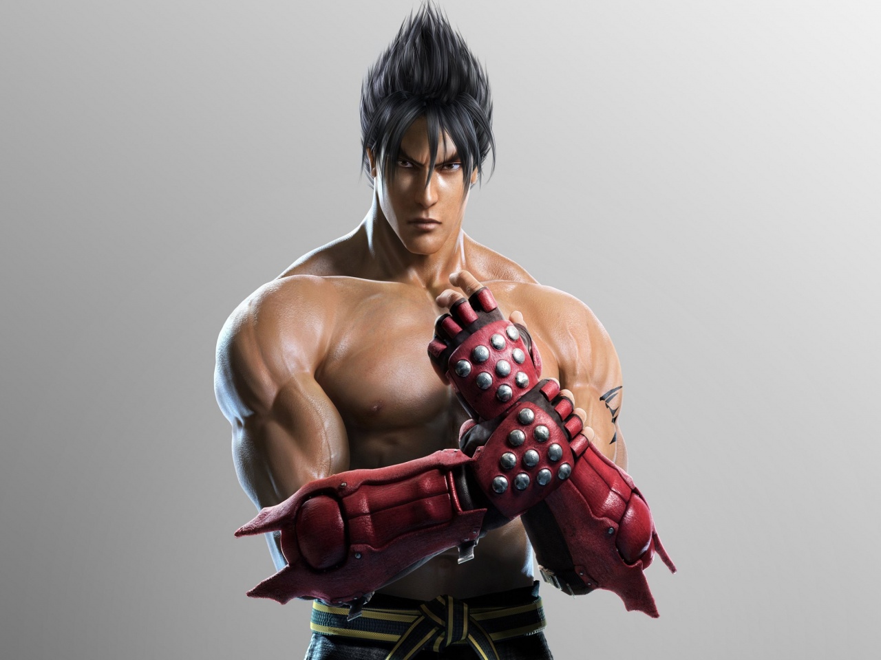 Tekken Tag Tournament 2 Roles Jin Kazama