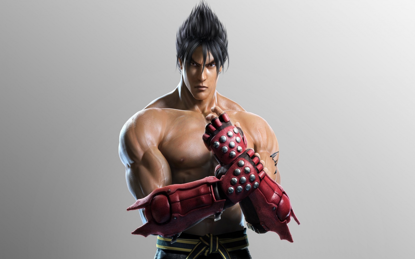 Tekken Tag Tournament 2 Roles Jin Kazama