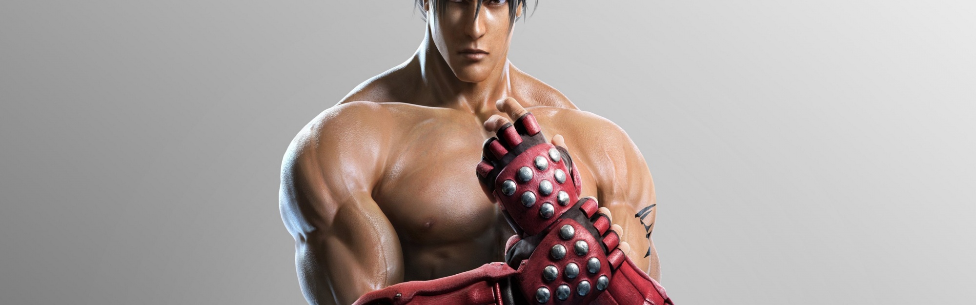 Tekken Tag Tournament 2 Roles Jin Kazama