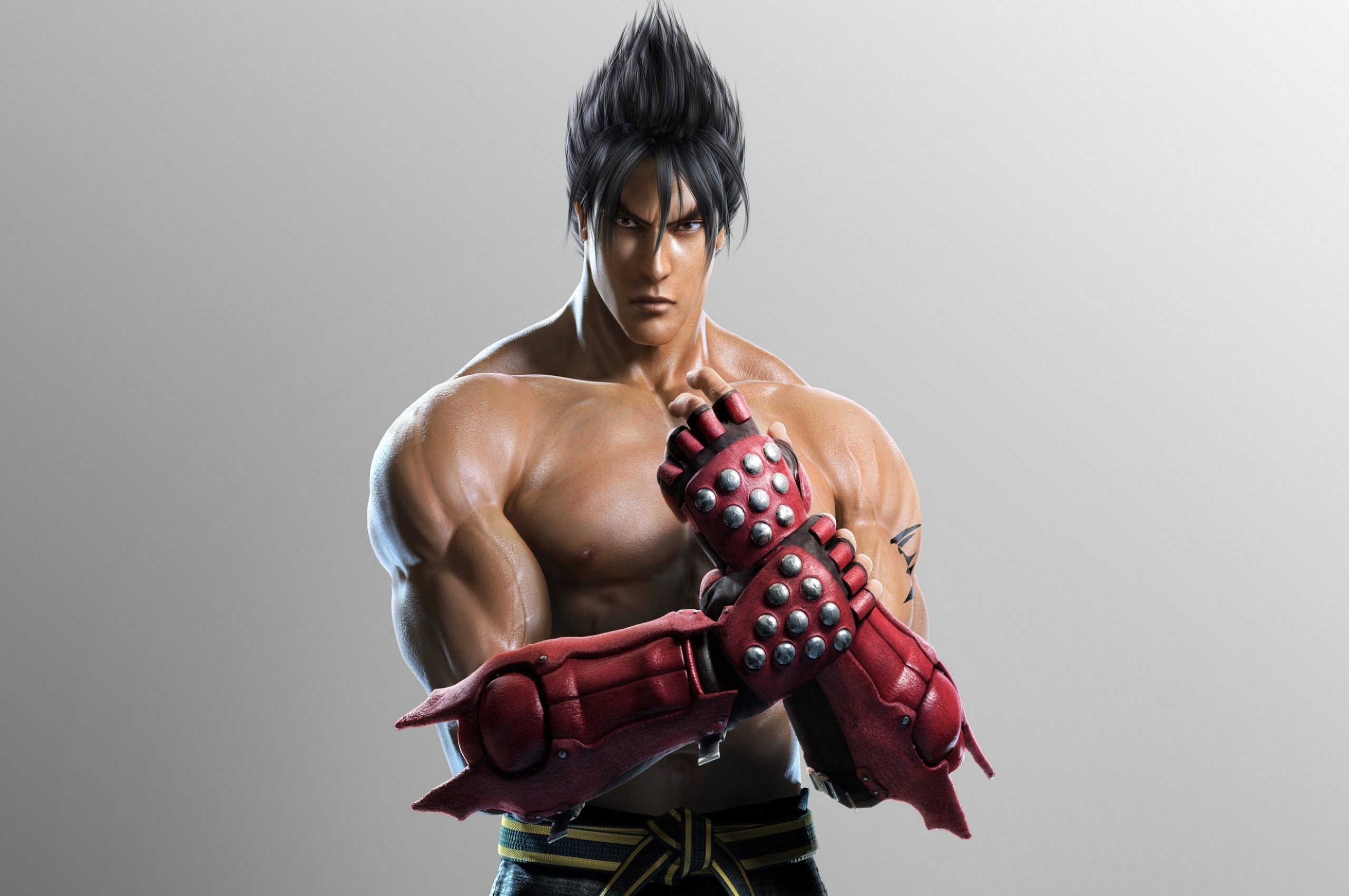 Tekken Tag Tournament 2 Roles Jin Kazama