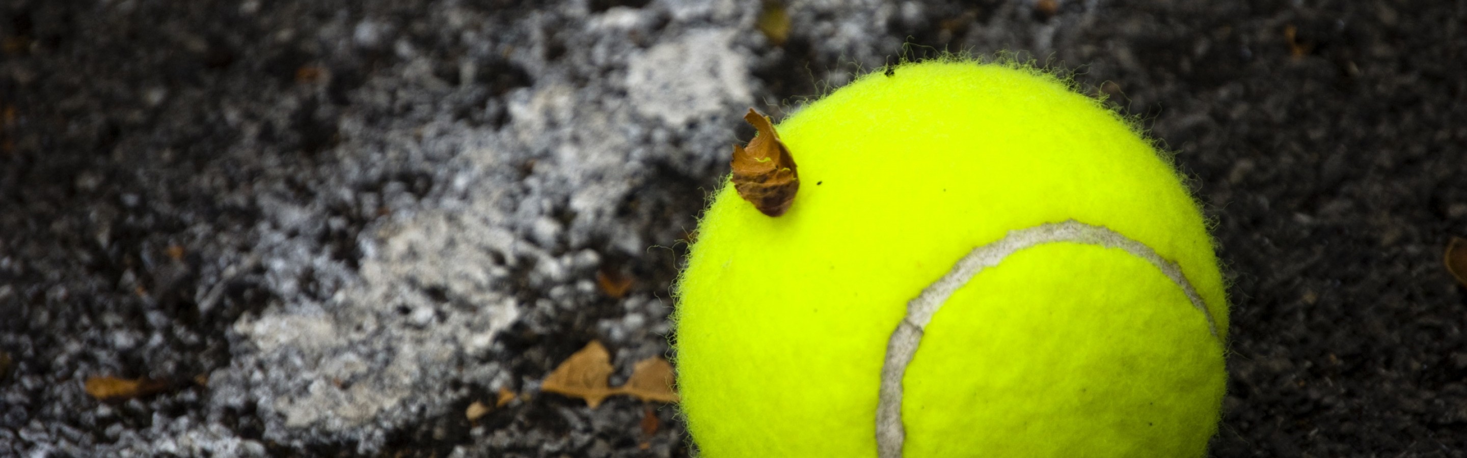 Tennis Ball