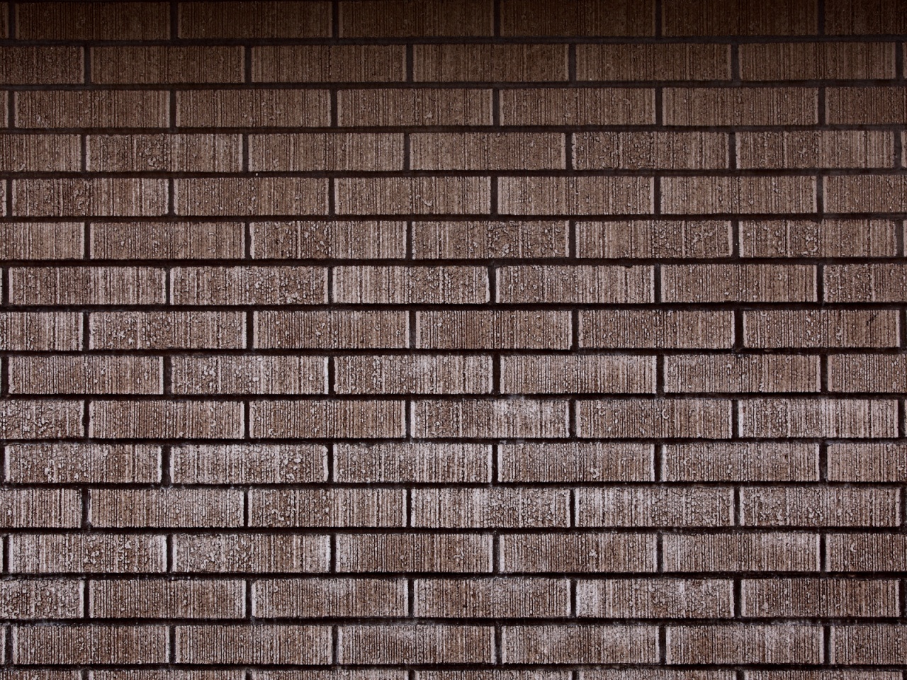 Texture