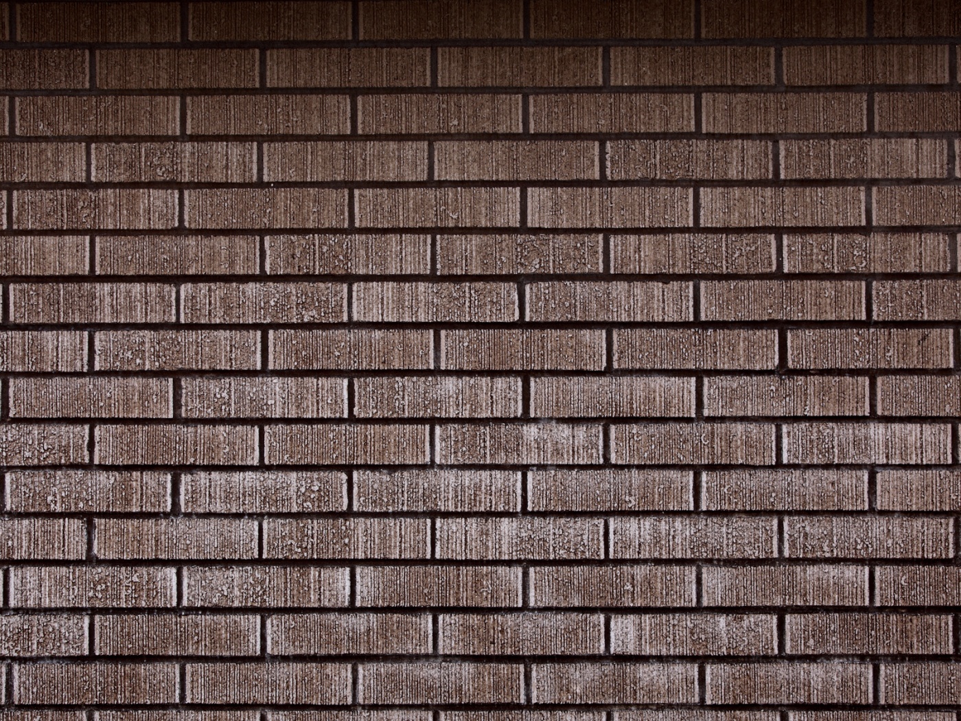 Texture